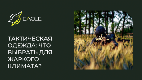 Eagle Blog 1