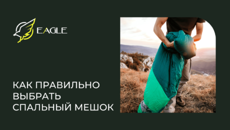 Eagle Blog 5