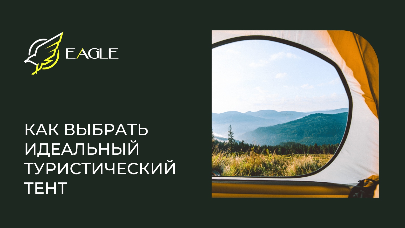 Eagle Blog 1