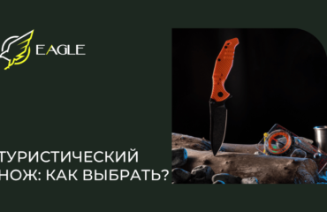 Eagle Blog 4