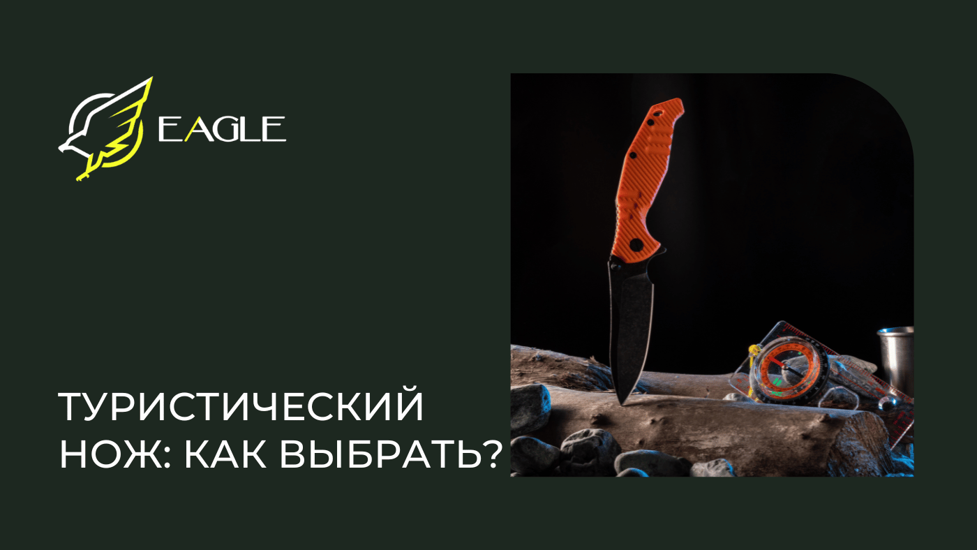 Eagle Blog 4
