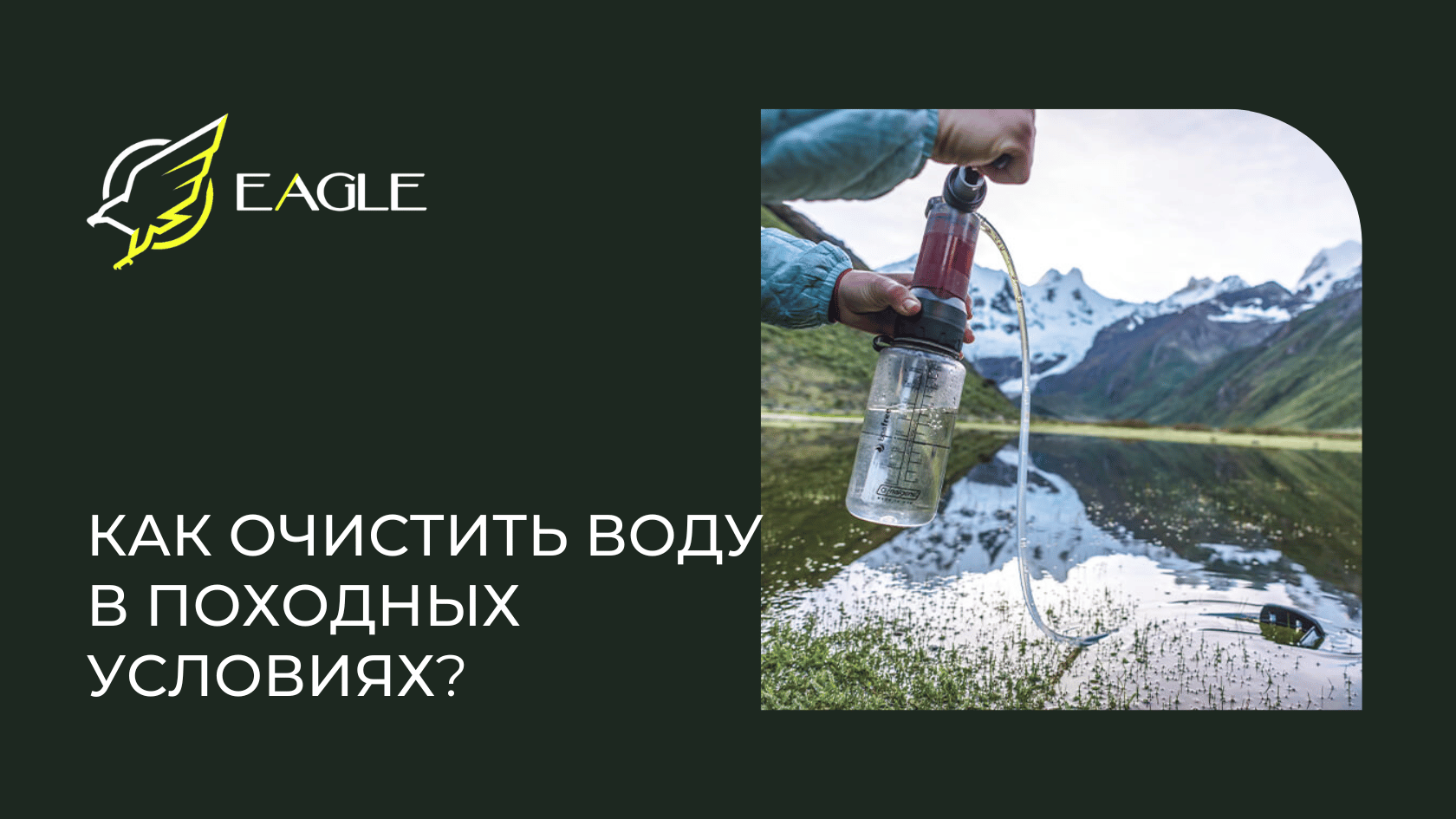 Eagle Blog 7