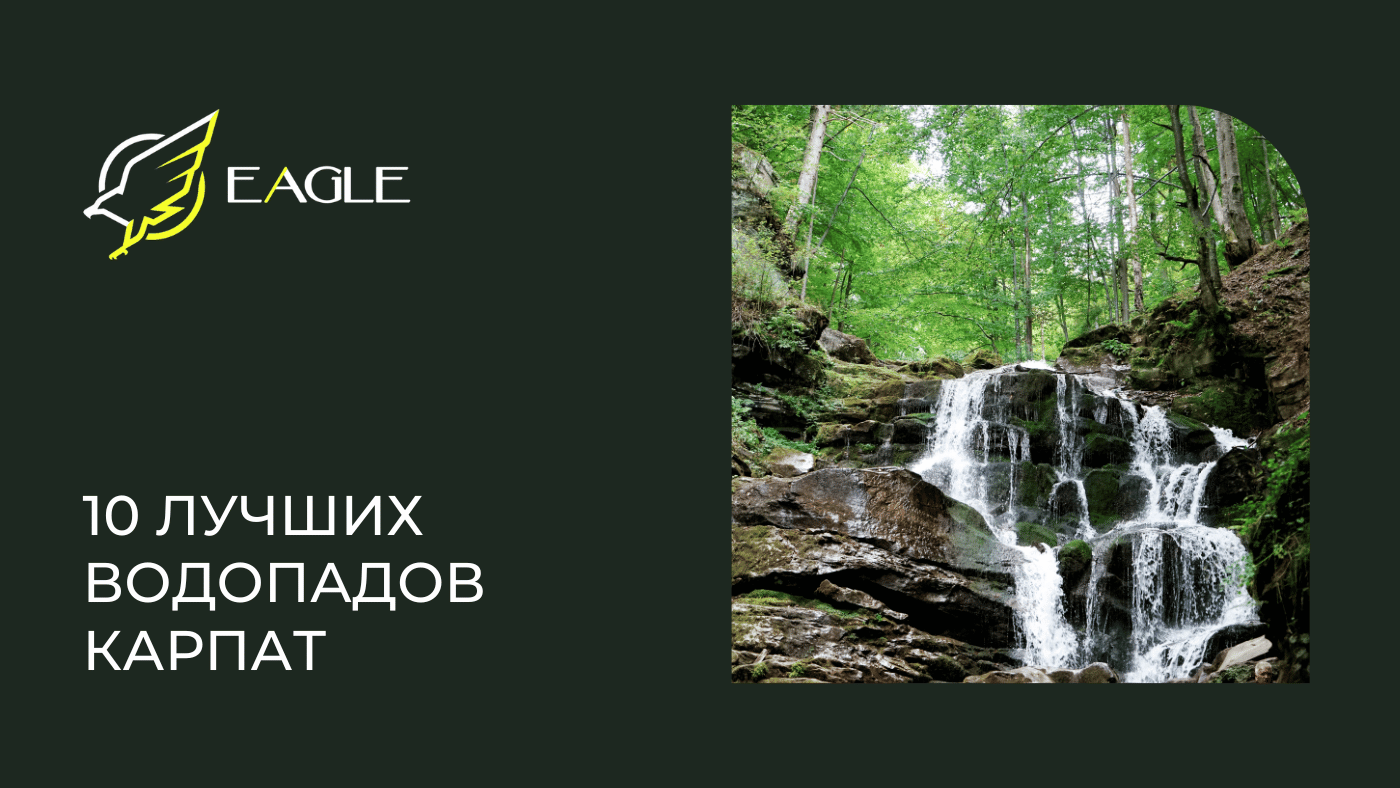 Eagle Blog 8